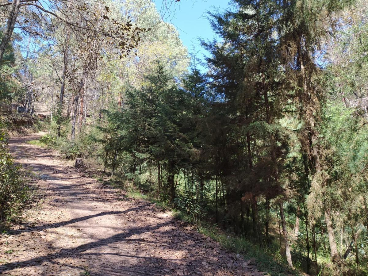 Cabanas Yoliztli Ξενοδοχείο Zacatlán Εξωτερικό φωτογραφία